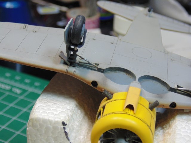 DSC04610 (Small)