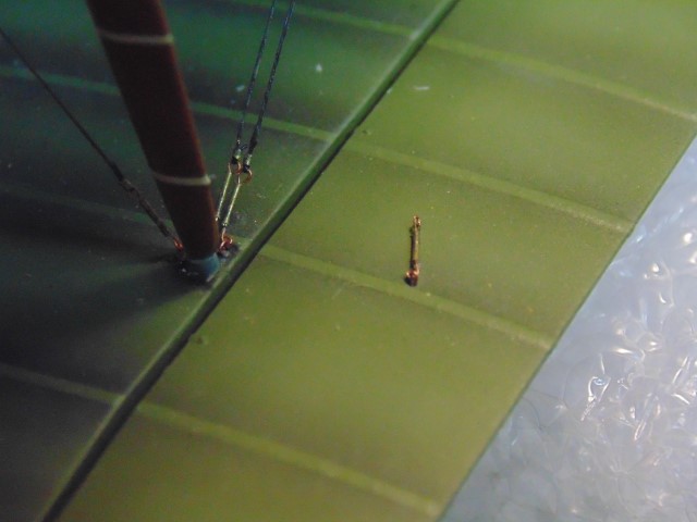 DSC02406 (Small)