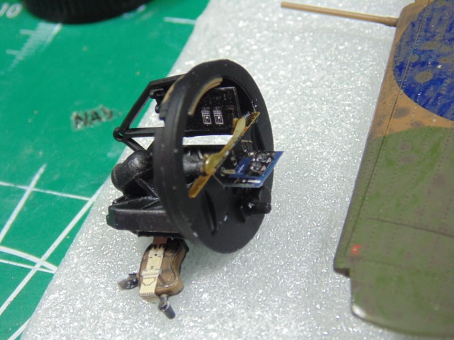 DSC01125 (Small)