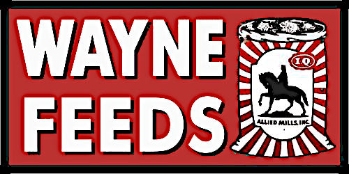 WayneFeeds3
