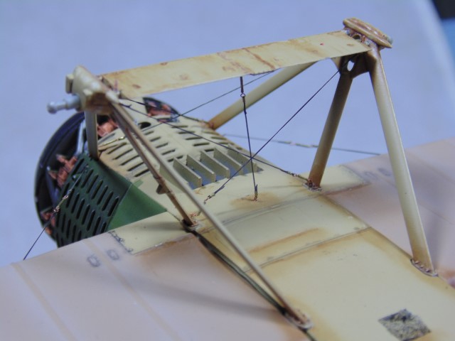 DSC02425 (Small)
