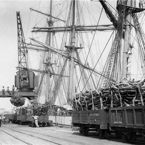Victoria Quay Crane III
