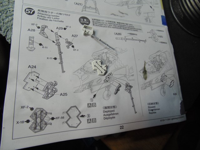 DSC04606 (Small)
