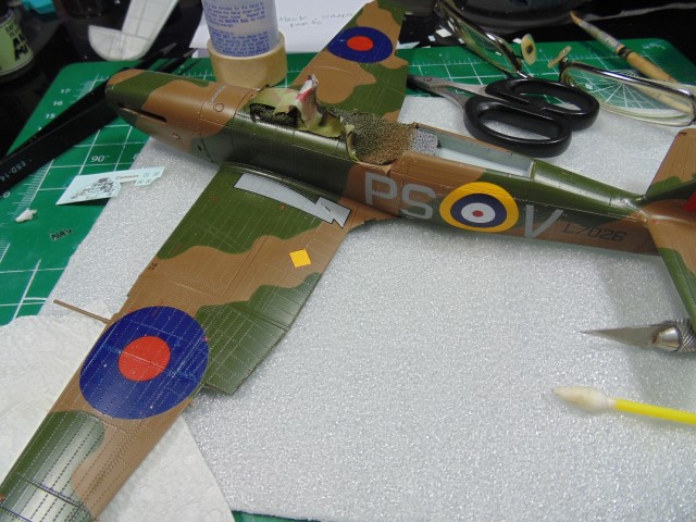 DSC01117 (Small)