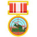 WW medal grey