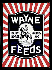 WAYNEFEEDS1