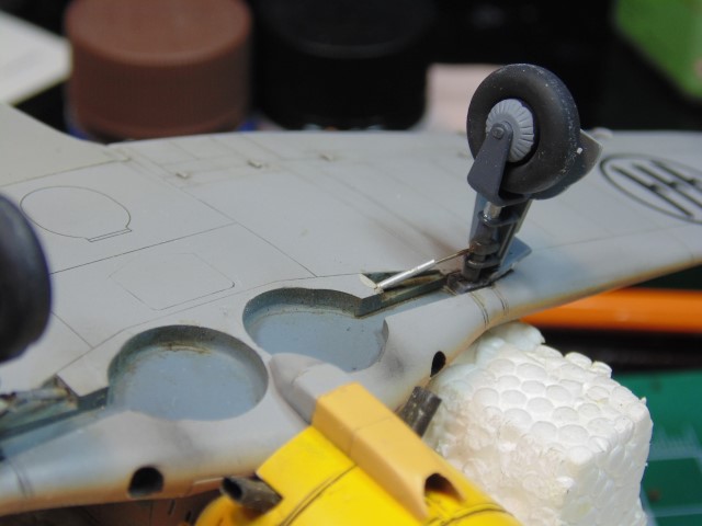 DSC04609 (Small)