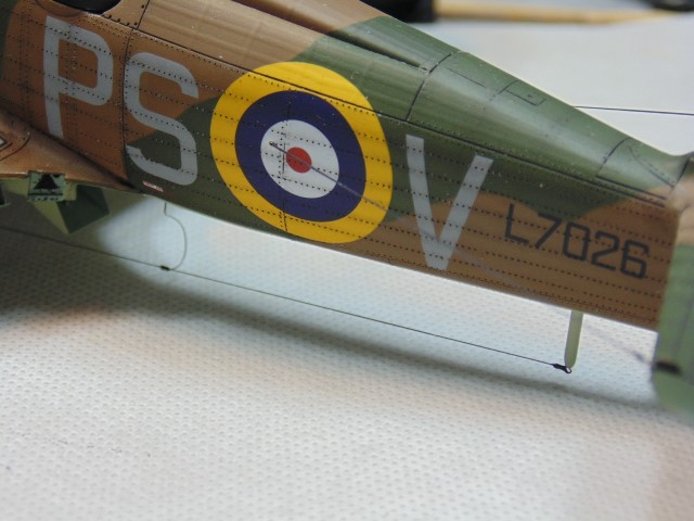 DSC01163 (Small)