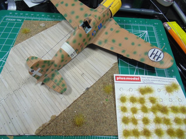 DSC04618 (Small)