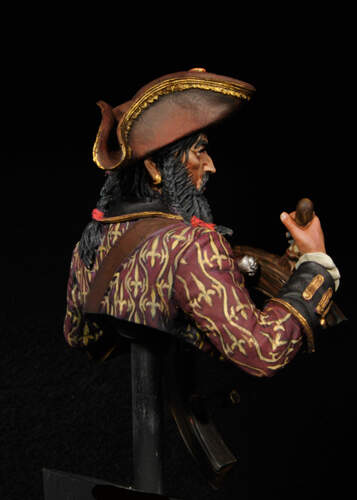 The_Pirate_24
