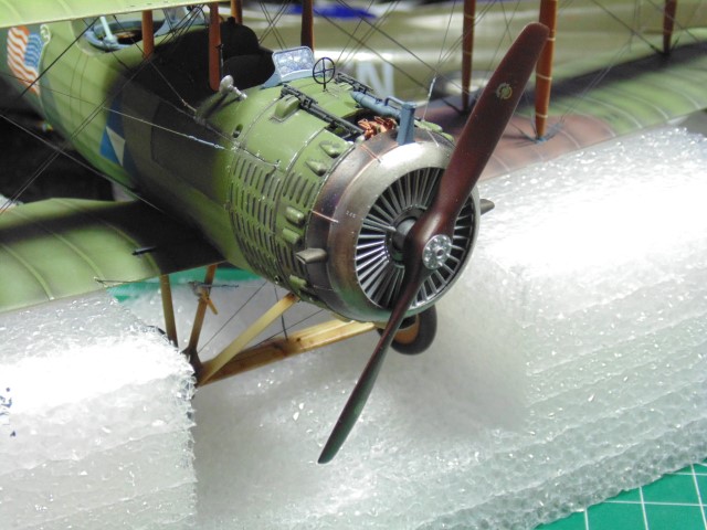 DSC02660 (Small)