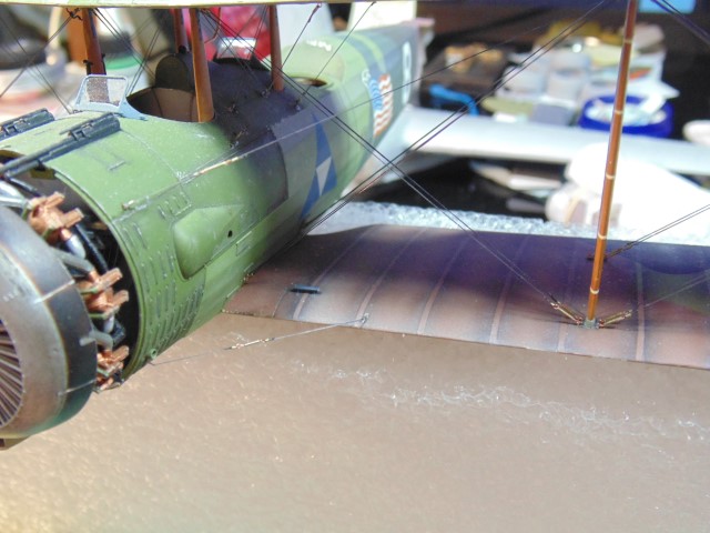 DSC02397 (Small)