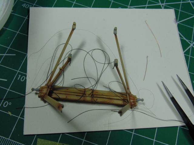 DSC02421 (Small)