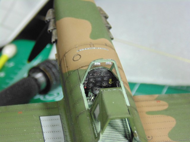 DSC01154 (Small)