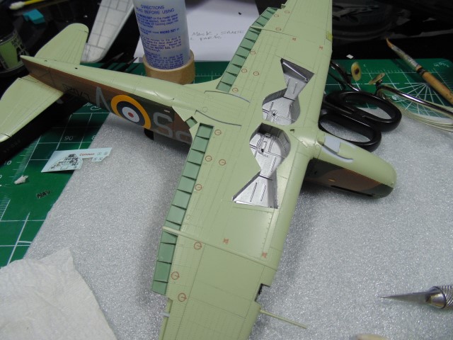 DSC01118 (Small)