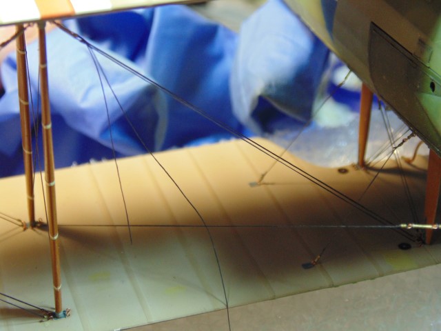 DSC02389 (Small)