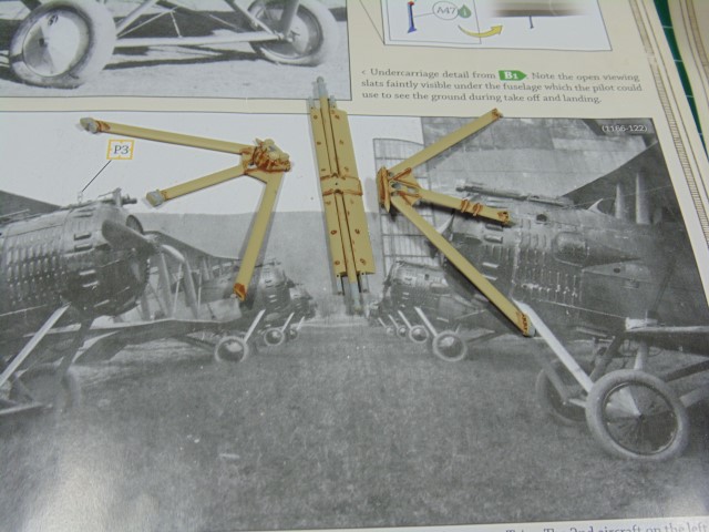 DSC02410 (Small)