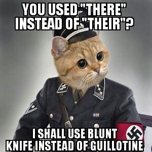 2db6e-grammar-nazi-cat