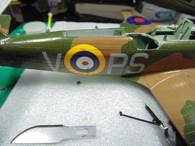 DSC01129 (Small)