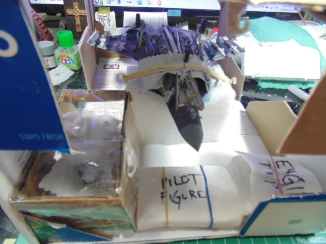 DSC04718 (Small)