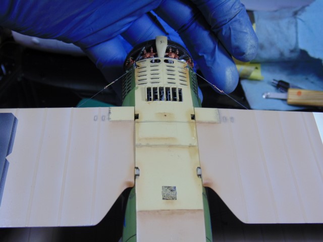 DSC02415 (Small)