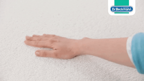 Carpet Monster