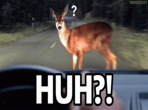 huh-surprised