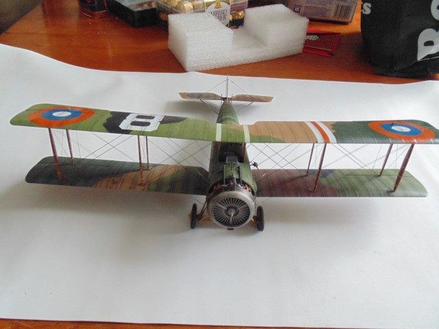 DSC02559 (Small)