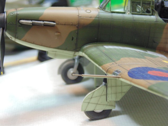 DSC01164 (Small)