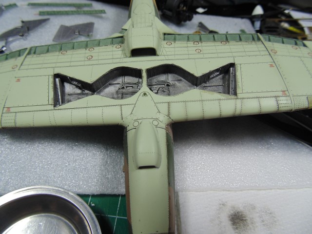 DSC01134 (Small)