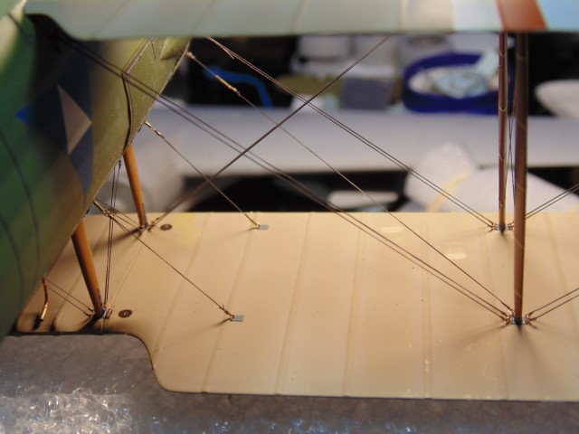 DSC02394 (Small)