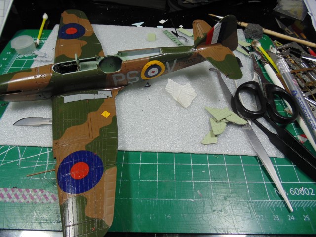 DSC01131 (Small)