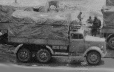44946856_10214645Crop