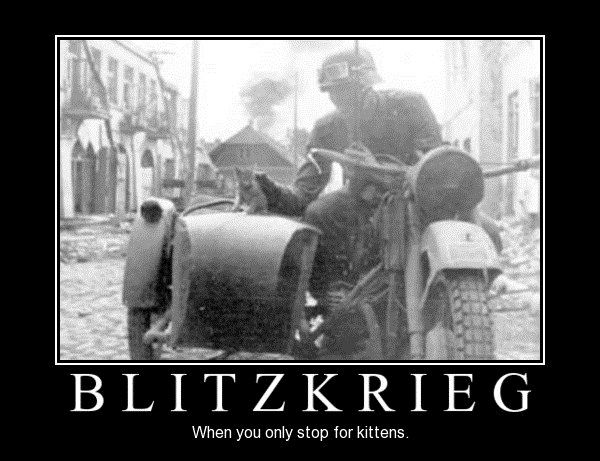 Blitzkrieg, when you only stop for kittens