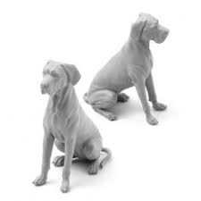 images - 2026-08-03T065323.377