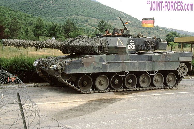 Leopard40-6-01