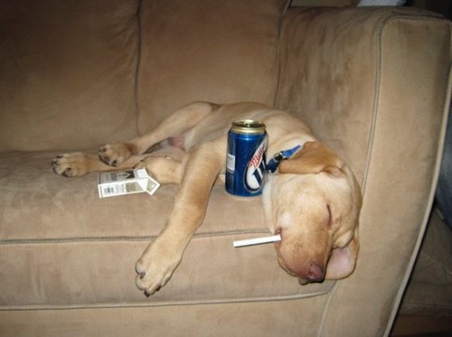 1 miller lite