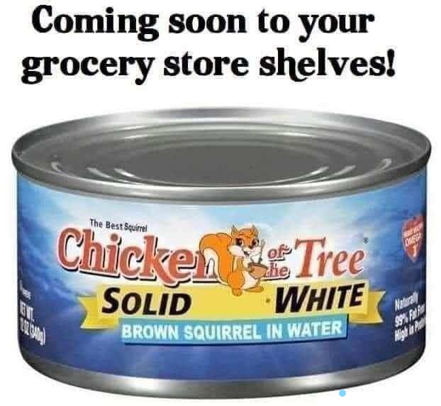 285050233_5518899148121722_3180671056270447780_n_LI