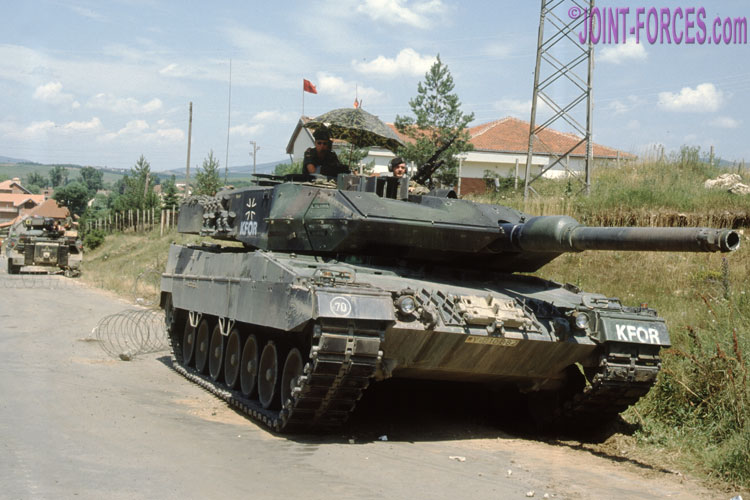 Leopard40-6-02