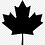 Jason_Bobrowich2