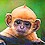 Model_Monkey