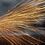 Sparks